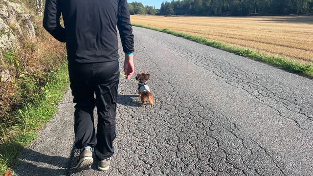 イギリス却下スイスも却下の記事動画