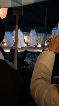 春日若宮おん祭に行って参りました。の記事動画