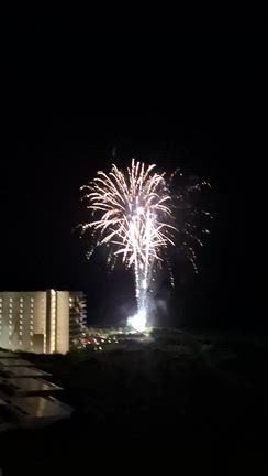 オーバーオールデビューと大人も夢中なテトリスの記事動画