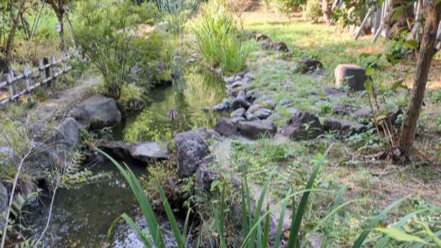 少しだけ秋を感じての記事動画