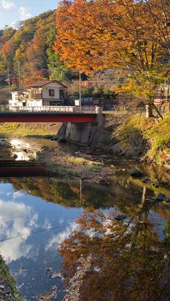 初めての鹿島神宮⛩️旅の記録の記事動画