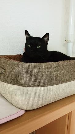 今年も始まりました！の記事動画