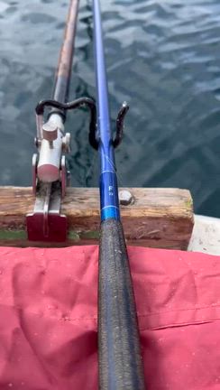 釣果報告の記事動画