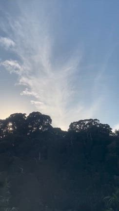 12月5日ふたご座満月❗️ホピ族の予言❗️第5の扉を開く鍵を握る2025年最期の満月①の記事動画