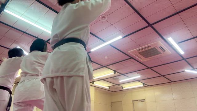 阿波おどり in 合気道の記事動画