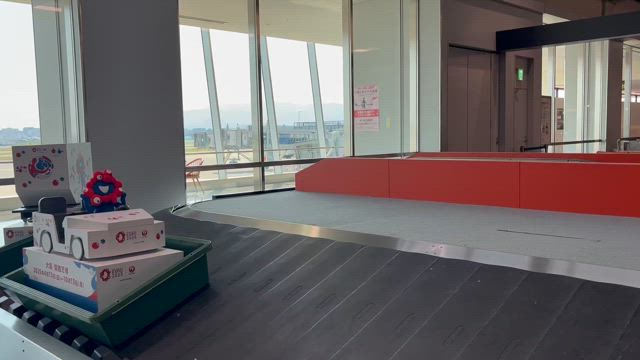 大阪に帰って来ました@大阪国際空港の記事動画