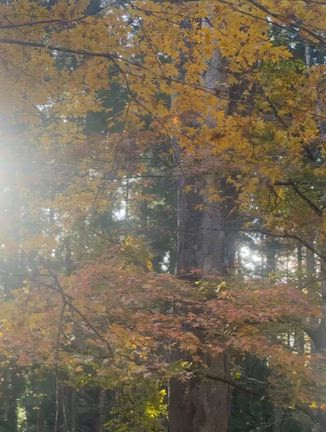 2025/11/23の記事動画