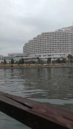 あちらへ　こちらへの記事動画