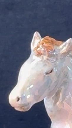 キラキラゆらゆら馬っ子たち✨の記事動画