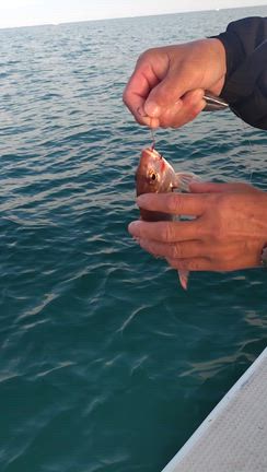 １２月２０日タイ✨の記事動画