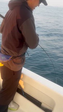 3月28日　タイラバの記事動画