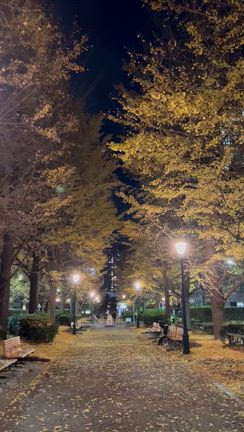 朝散歩と今週食べたものの記事動画