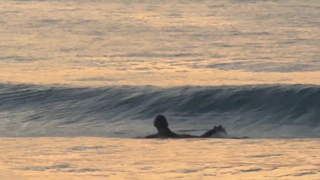 朝は、吉浜にの記事動画