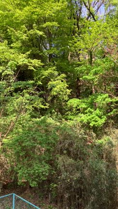 幸せの記事動画