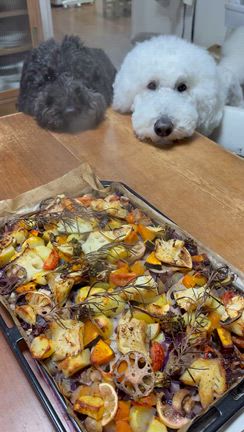 クッキングシートとうまうまの記事動画