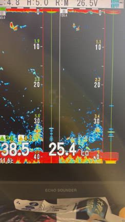２月１１日と２月１２日募集中の記事動画