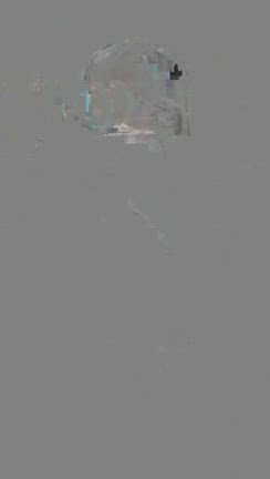 小川町 豊はる 肉そばの記事動画