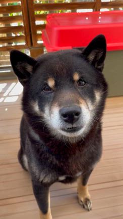 モヤっとした出来事がありましたの記事動画