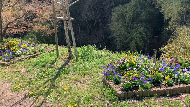 癒されましたd(^_^o)の記事動画