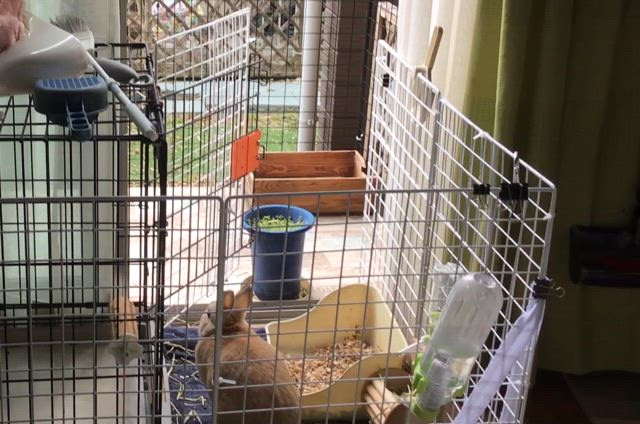 1月4日、56歳になりました。の記事動画