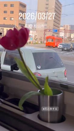 香川の朝うどん、やっぱり別格だった！の記事動画