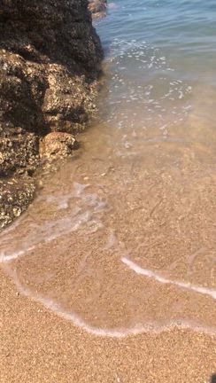 hideko。のつぶやき　　　《アーシング》の記事動画