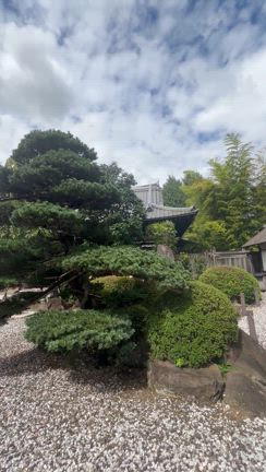 ♡9月25日今日のメッセージ♡の記事動画