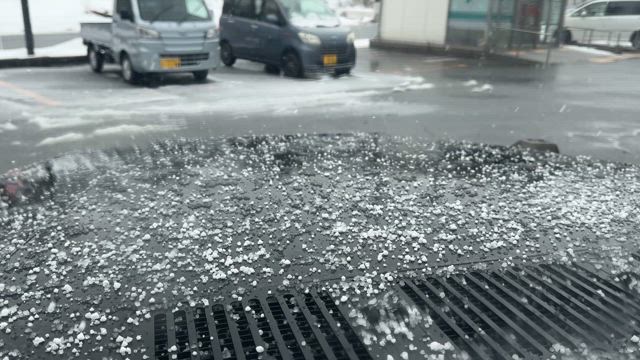 春の芽吹きのエネルギーを閉じ込めての記事動画