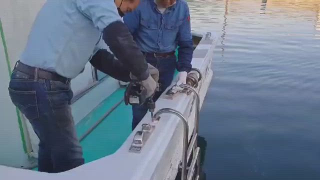 ✨『 第８寿広丸 』のリニューアル ✨の記事動画