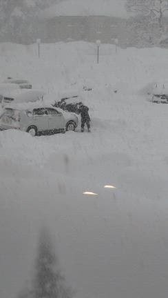 #今日は寒いの記事動画