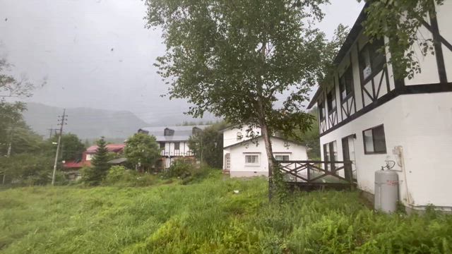 浄化の雨ーの記事動画