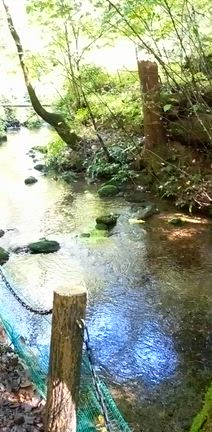 【小さな旅】　軽井沢（4）の記事動画