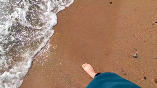 秋の海の記事動画