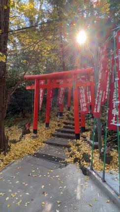 佐助稲荷神社（神奈川県鎌倉市）の写真の記事動画