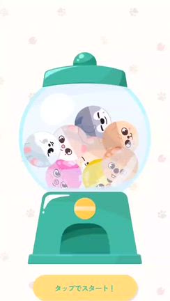 編み物話 と StrayKids 今回のオンラインクジ神景品の記事動画