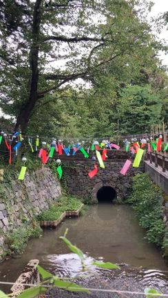 湯呑みの風鈴の記事動画