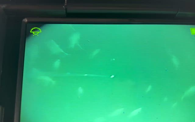 明日、午前中は凪予報です！の記事動画