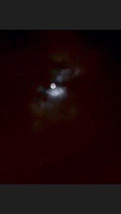 中秋の名月の記事動画