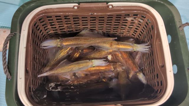 5月3日リレー便❗️の記事動画