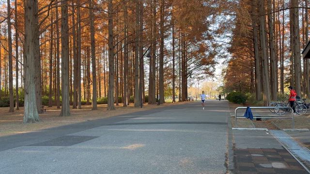 No.737 つくば明け最初のポイント練！（水元練 ペース走）の記事動画