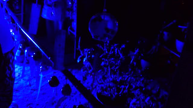 おふさ観音　ライトアップ　風鈴の記事動画