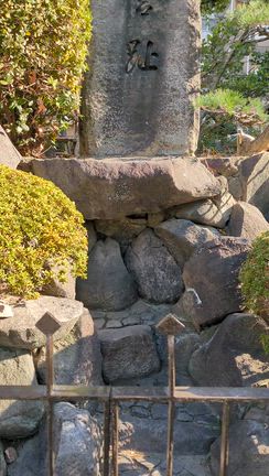 12月13日土曜日✨✨✨✨✨✨✨✨✨✨の記事動画