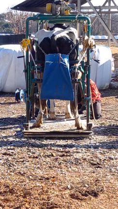 えっほ☆えっほ☆えっほ☆の記事動画