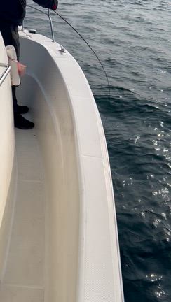 3月28日　タイラバの記事動画