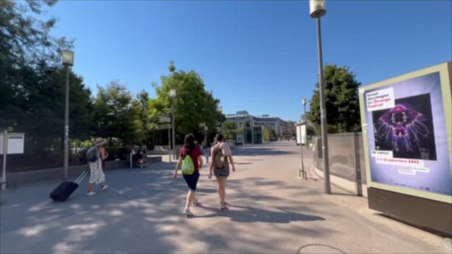 ルーブルの１LDKの記事動画