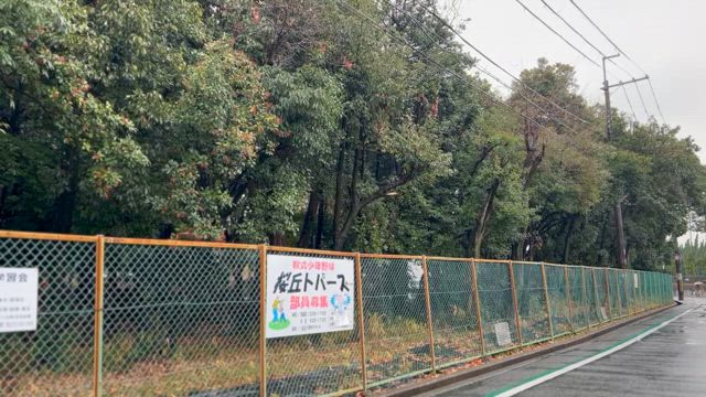 さざんかの道 - 枚方市の記事動画