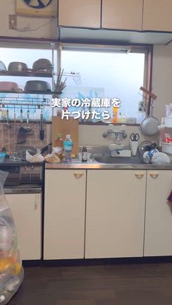 汚実家の母ルミ子の発言が雑すぎる件。の記事動画