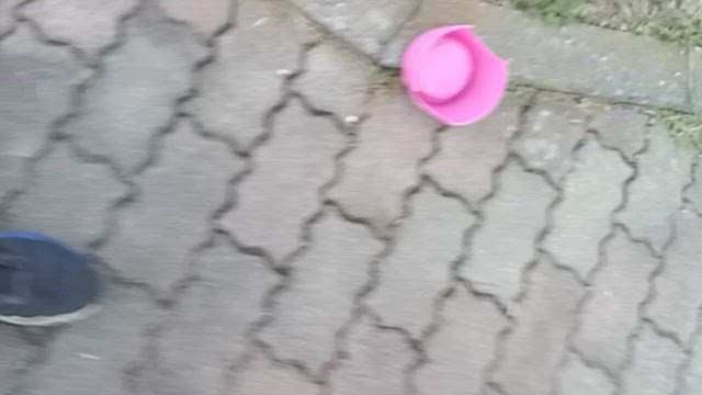 「正月休み」と「実家の猫」・・・「朝お菓子ガッツリ食い」生活で体重は低位への記事動画