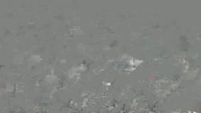 【グアム旅行⑩】海でシュノーケリング♥楽しすぎる〜⸜( ˃ ᵕ ˂ )⸝ ♪動画ありの記事動画