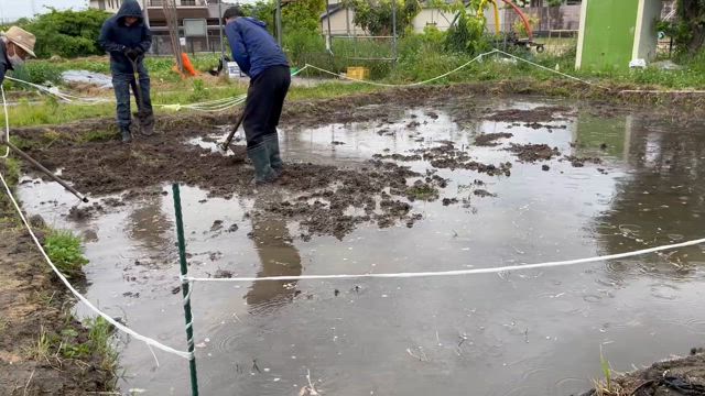 初の水田作り体験！NPO地球環境再生機構さん (大阪茨木)の記事動画